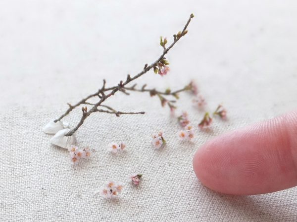 sakura　ミニチュア　桜