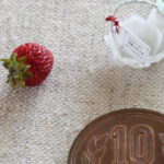 miniature strawberry ミニチュア イチゴ