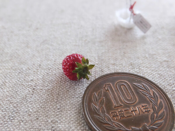 miniature strawberry ミニチュア イチゴ